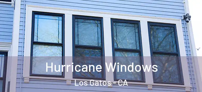  Hurricane Windows Los Gatos - CA
