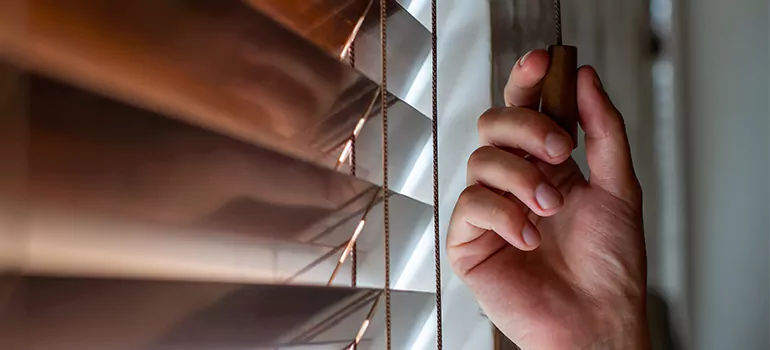 Double Roller Blinds in Los Gatos, CA