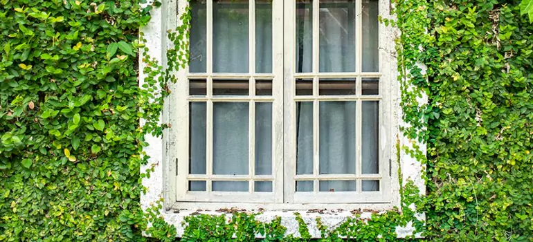 Garden Window Repair Near Me in Los Gatos, CA