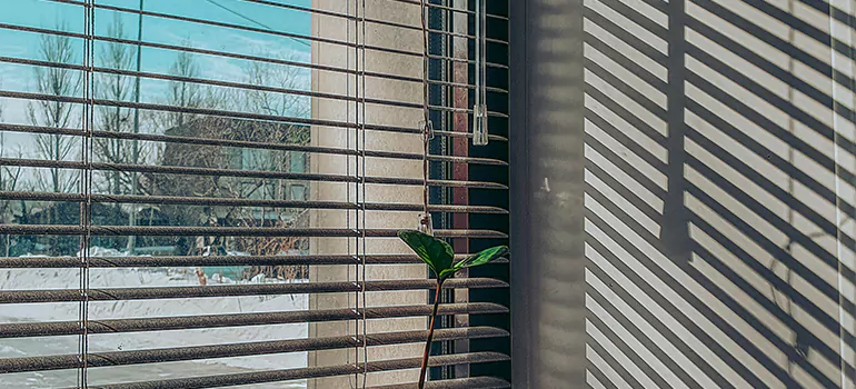 Commercial Window Blinds in Los Gatos, CA