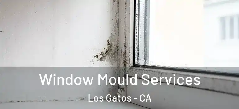  Window Mould Services Los Gatos - CA
