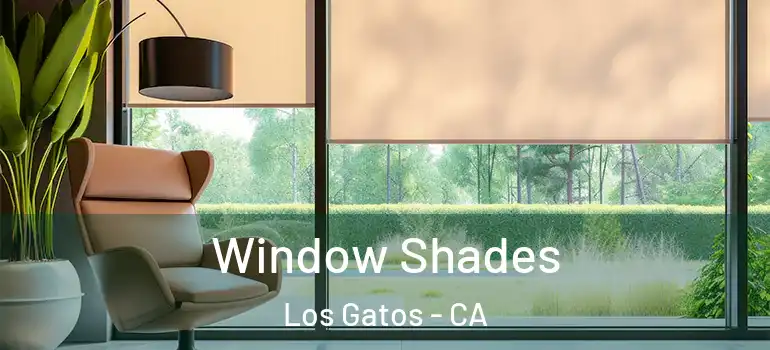  Window Shades Los Gatos - CA