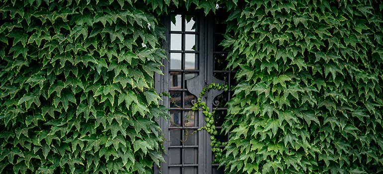 Garden Gate Repair in Los Gatos, CA